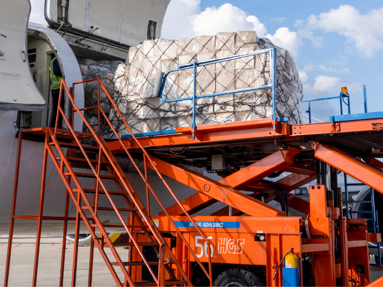 Servicios_Atención de vuelos y rampa_Manejo de Carga General y Especial
